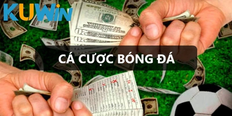 Cá Cược Bóng Đá - Đưa Bạn Vào Những Cảm Xúc Mãnh Liệt