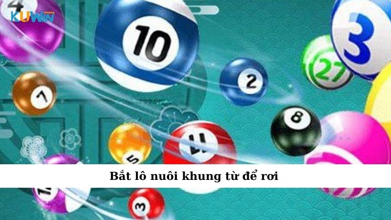 Bắt lô nuôi khung từ để rơi