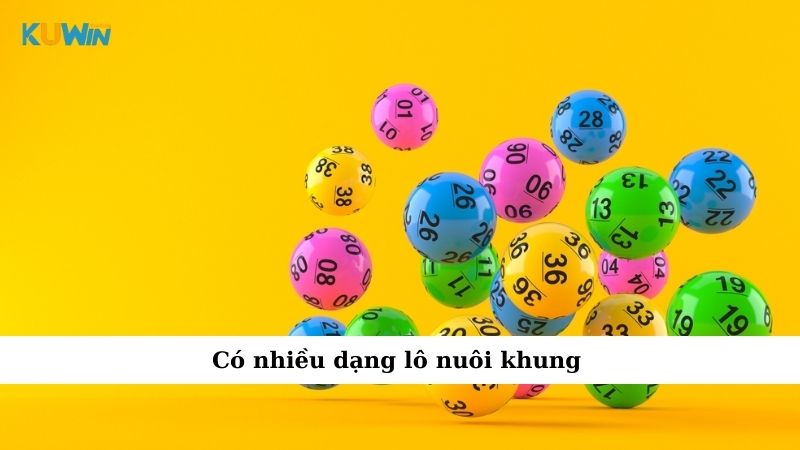 Có nhiều dạng lô nuôi khung