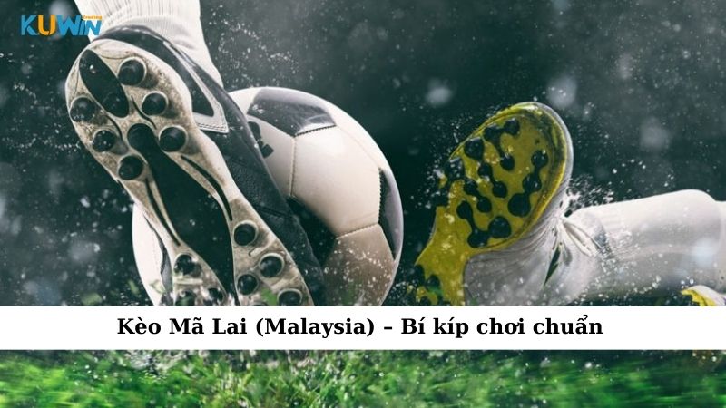 Kèo Mã Lai (Malaysia)