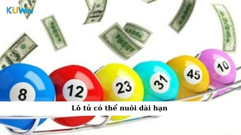 Lô tủ có thể nuôi dài hạn