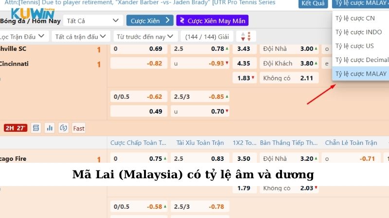 Mã Lai (Malaysia) có tỷ lệ âm và dương