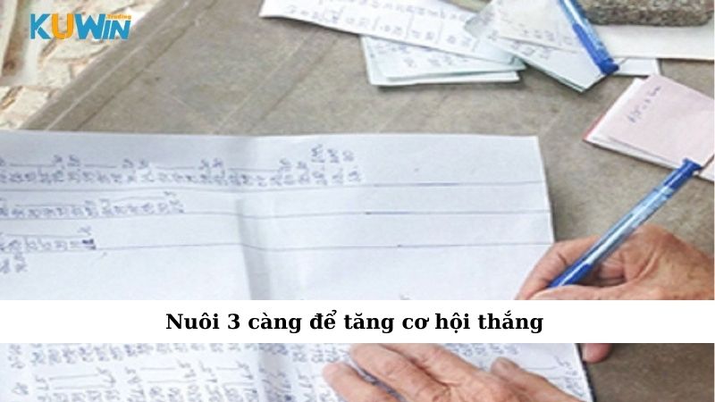 Nuôi 3 càng để tăng cơ hội thắng